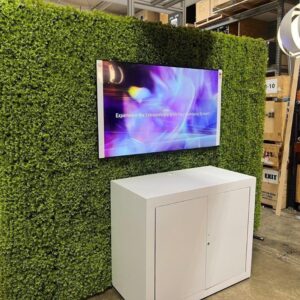 65 Inch TV